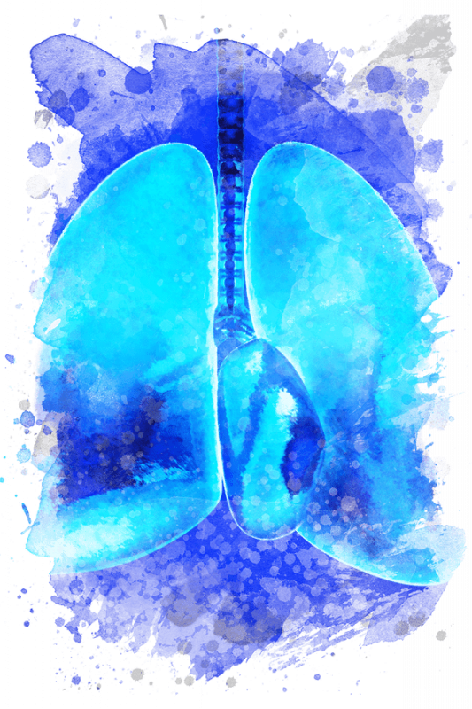 Lunge - Atmen lernen