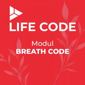 Life code modul breath code - ahoi academy