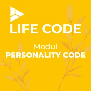 Life code modul personality code - ahoi academy